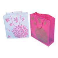 Non Woven Bag